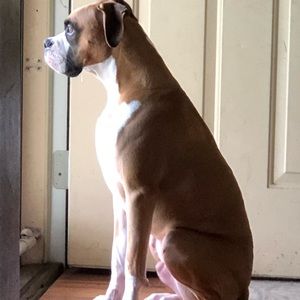 Meet your Posher, John